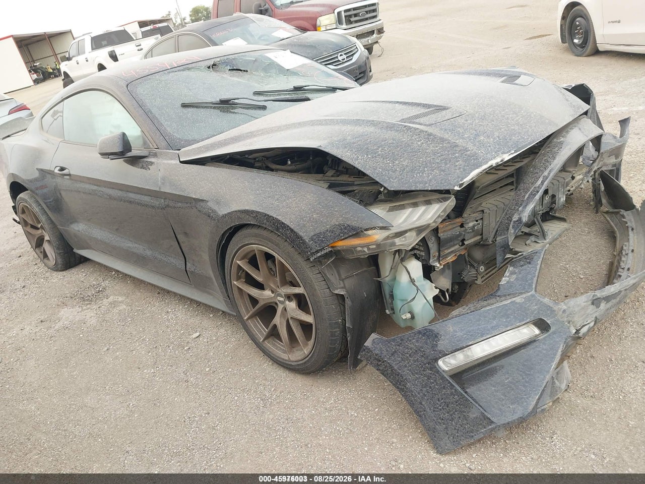 1FA6P8TH3M5****** · 2021 FORD MUSTANG ECOBOOST FASTBACK