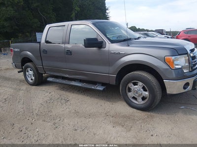 1FTFW1EF1DF****** · 2013 FORD F-150 XLT