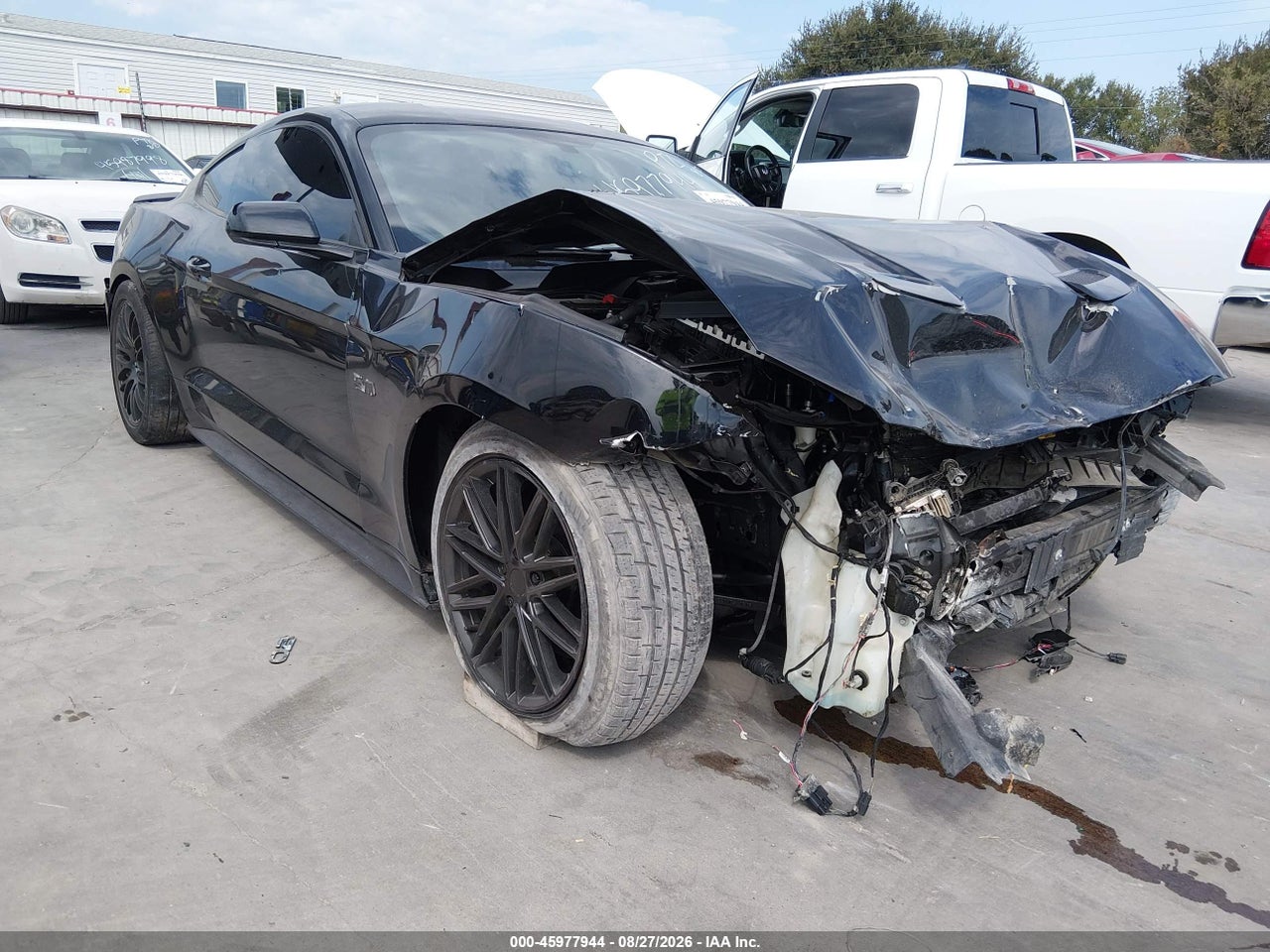 1FA6P8CFXL5****** · 2020 FORD MUSTANG GT FASTBACK