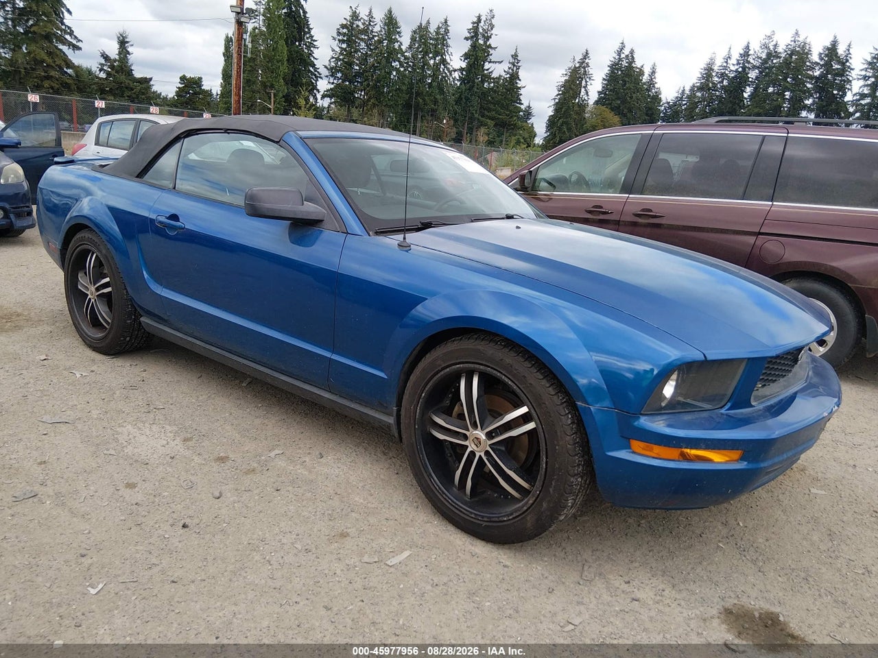 1ZVHT84N285****** · 2008 FORD MUSTANG V6 DELUXE/V6 PREMIUM