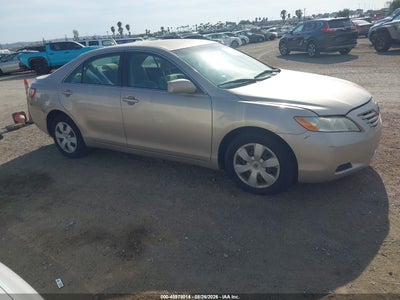 4T4BE46K69R****** · 2009 TOYOTA CAMRY LE