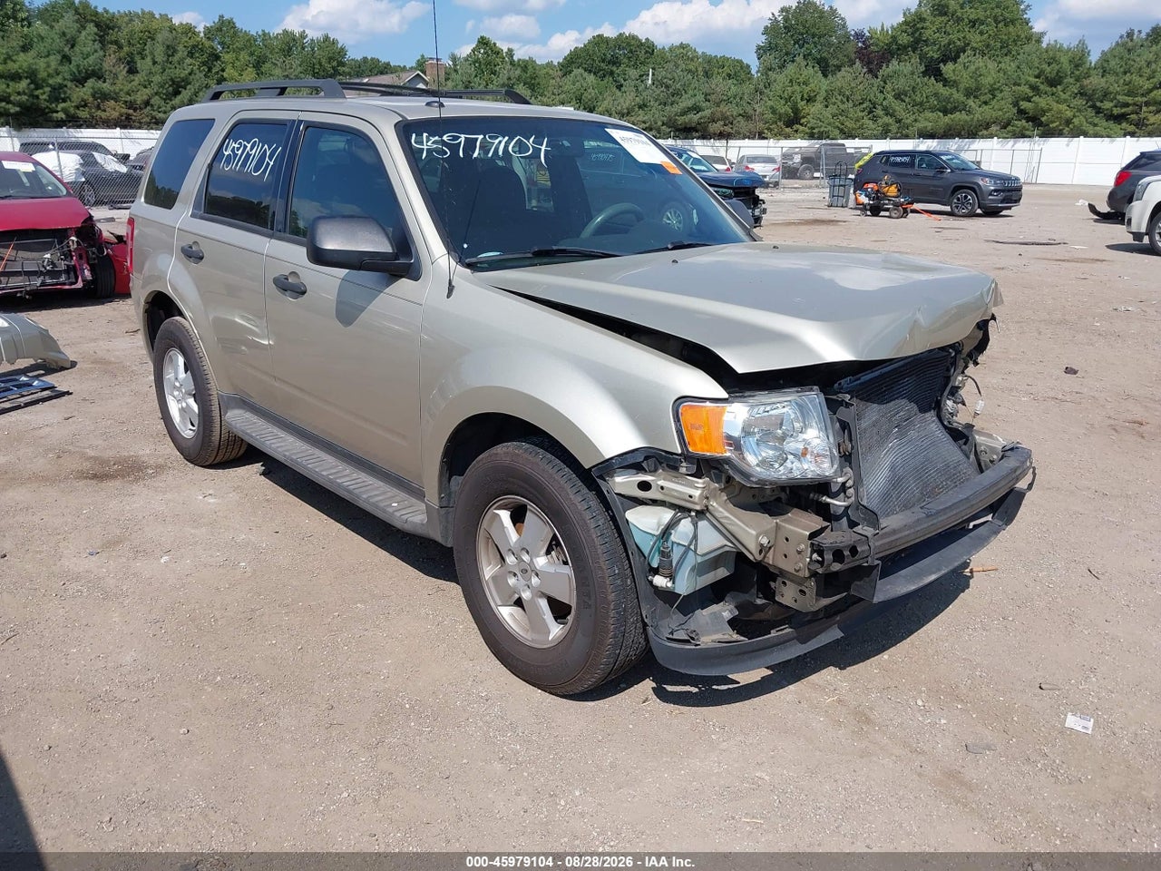 2011 FORD ESCAPE XLT
