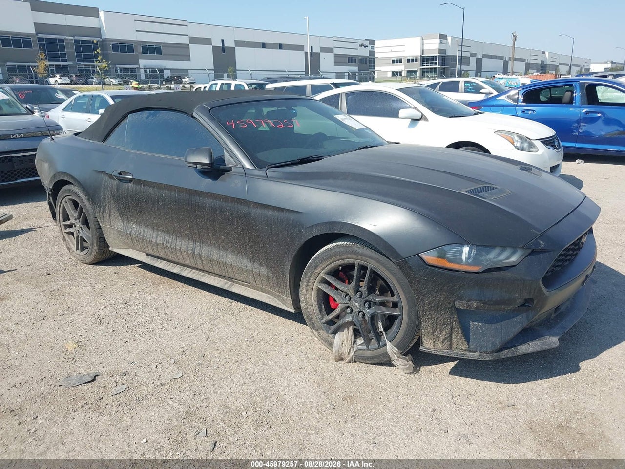 1FATP8UH3K5****** · 2019 FORD MUSTANG ECOBOOST PREMIUM
