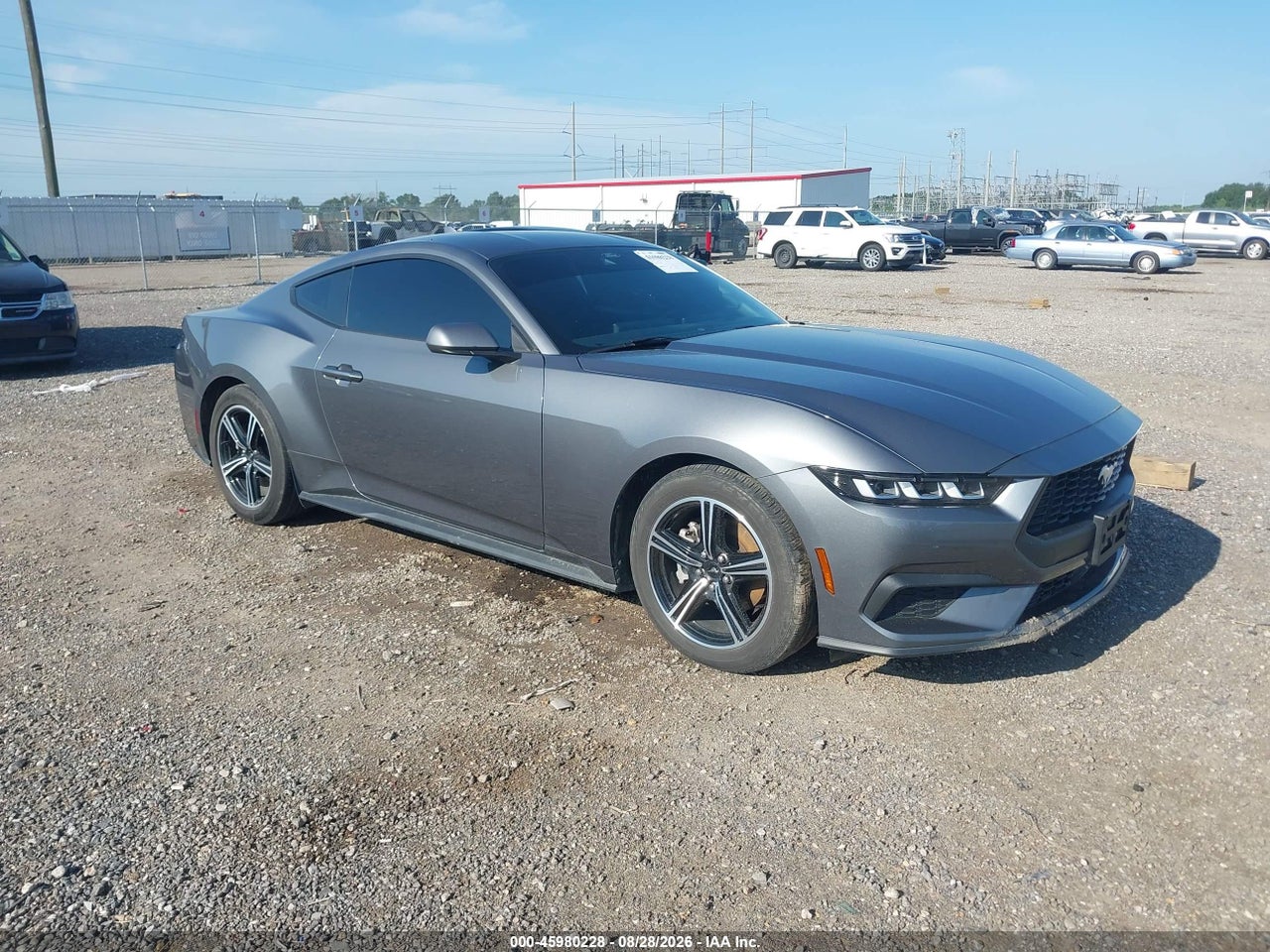 1FA6P8TH3R5****** · 2024 FORD MUSTANG ECOBOOST FASTBACK