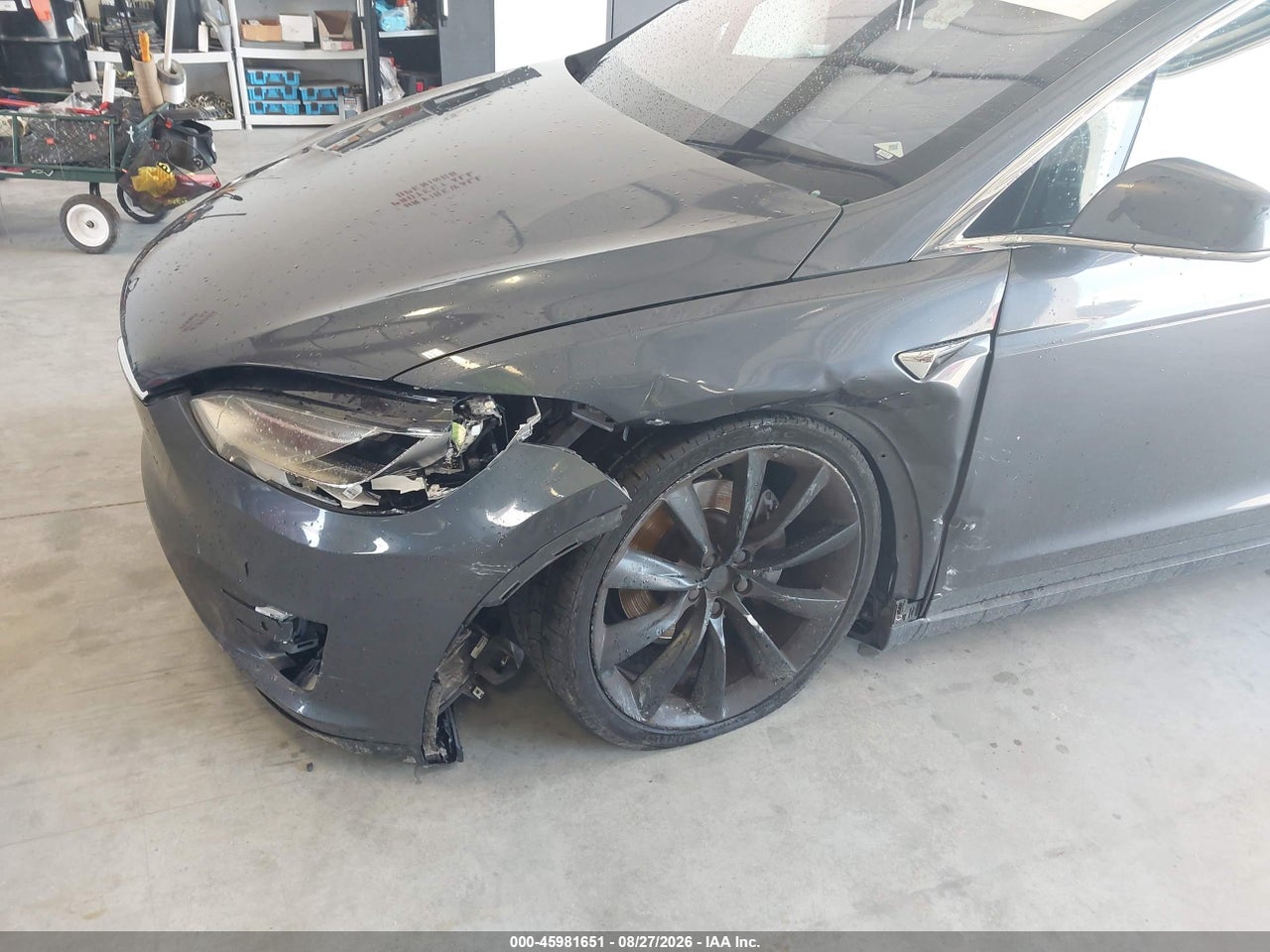 2017 TESLA MODEL X 100D/75D/90D · 6/9