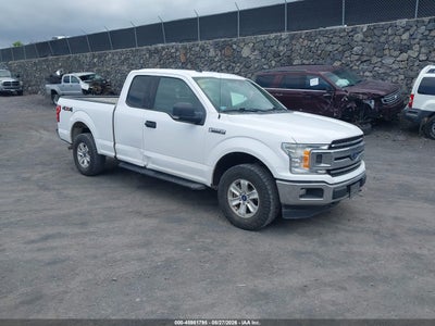 1FTFX1E44KK****** · 2019 FORD F-150 XLT