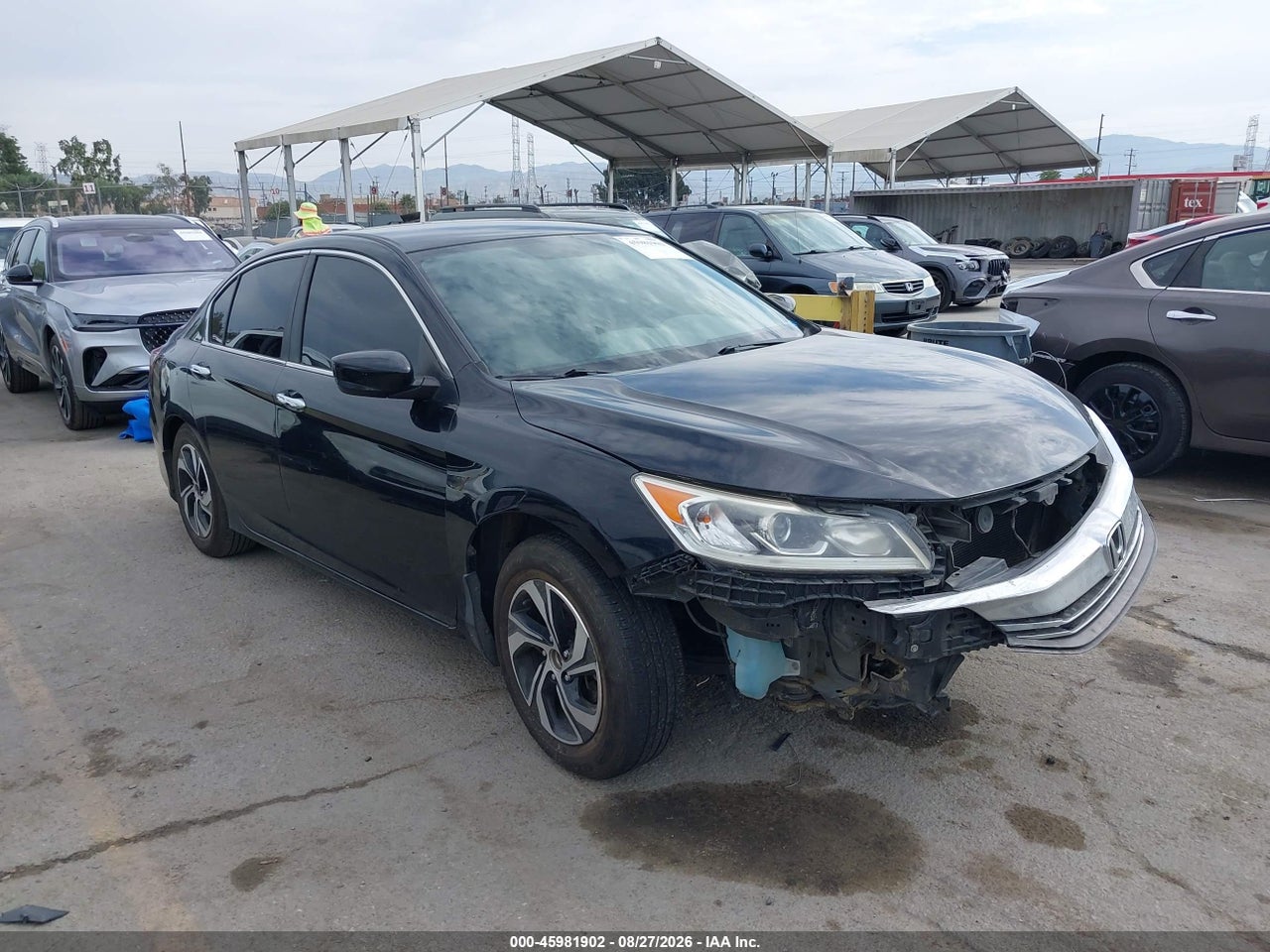 1HGCR2F3XHA****** · 2017 HONDA ACCORD LX
