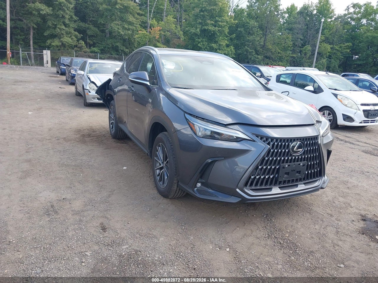 2025 LEXUS NX 350 PREMIUM