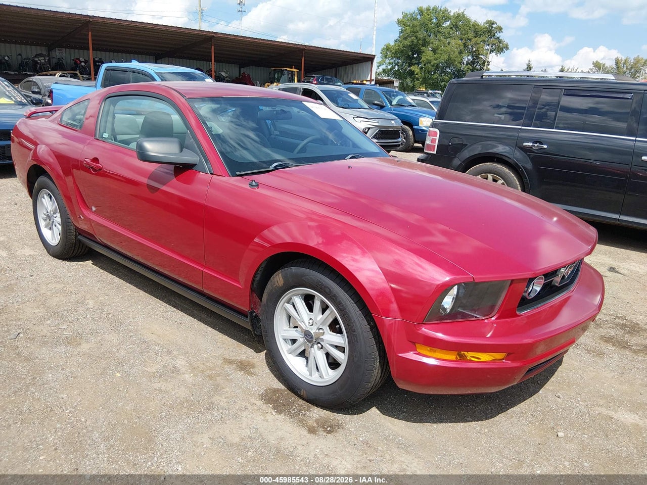 1ZVFT80N965****** · 2006 FORD MUSTANG V6