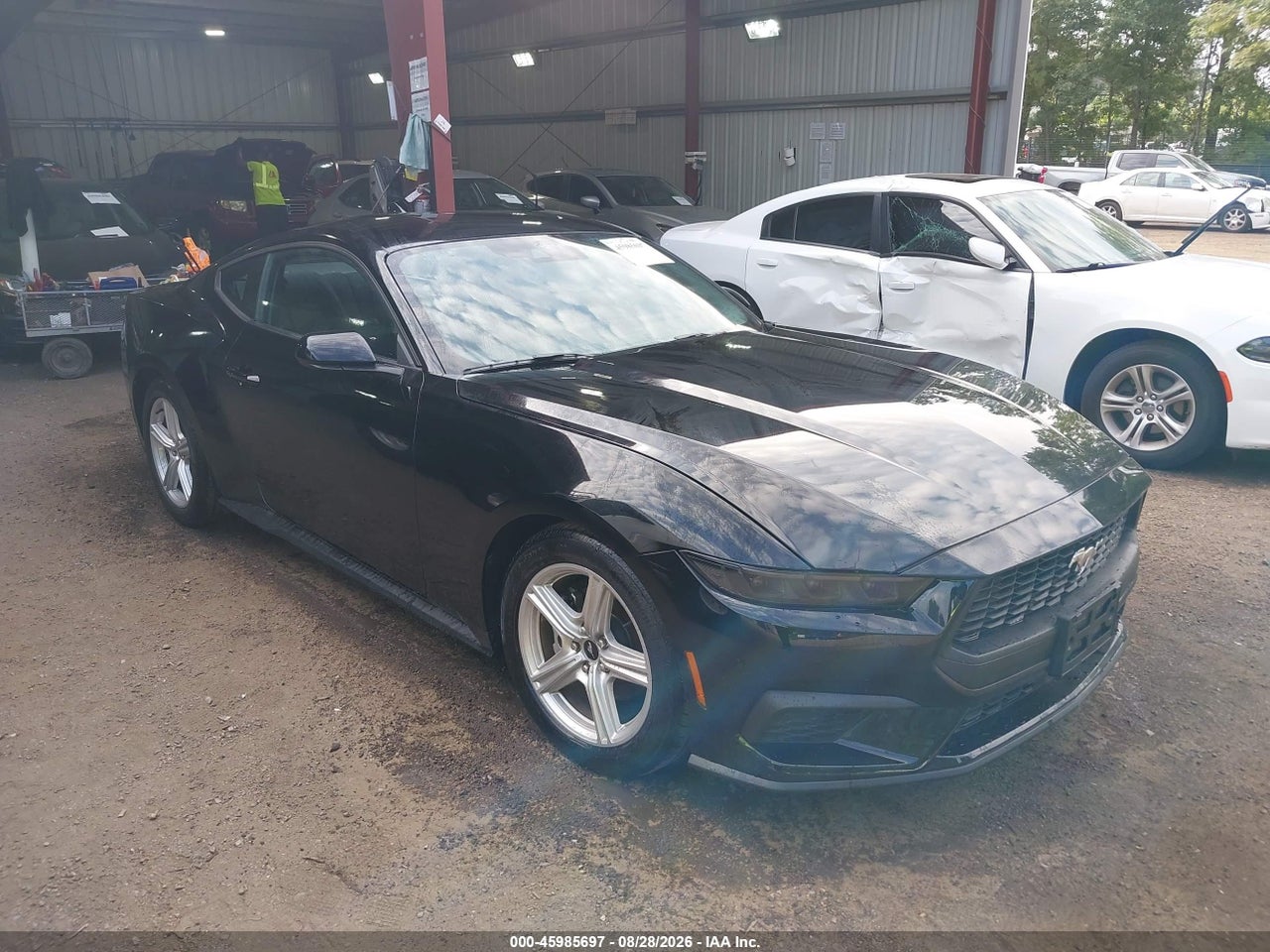 1FA6P8TH8T5****** · 2026 FORD MUSTANG ECOBOOST FASTBACK
