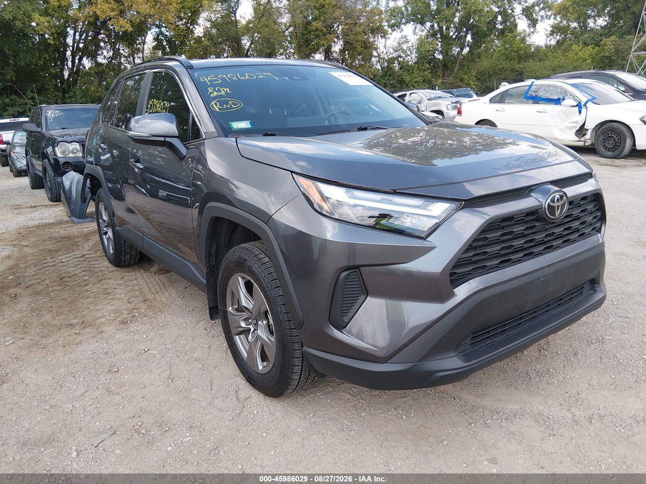 2024 TOYOTA RAV4 XLE