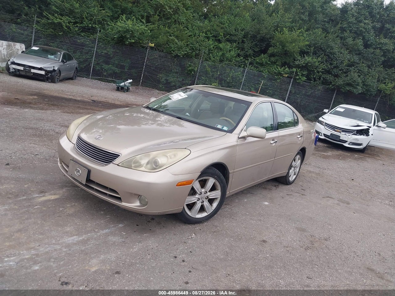 2006 LEXUS ES 330   · 2/11