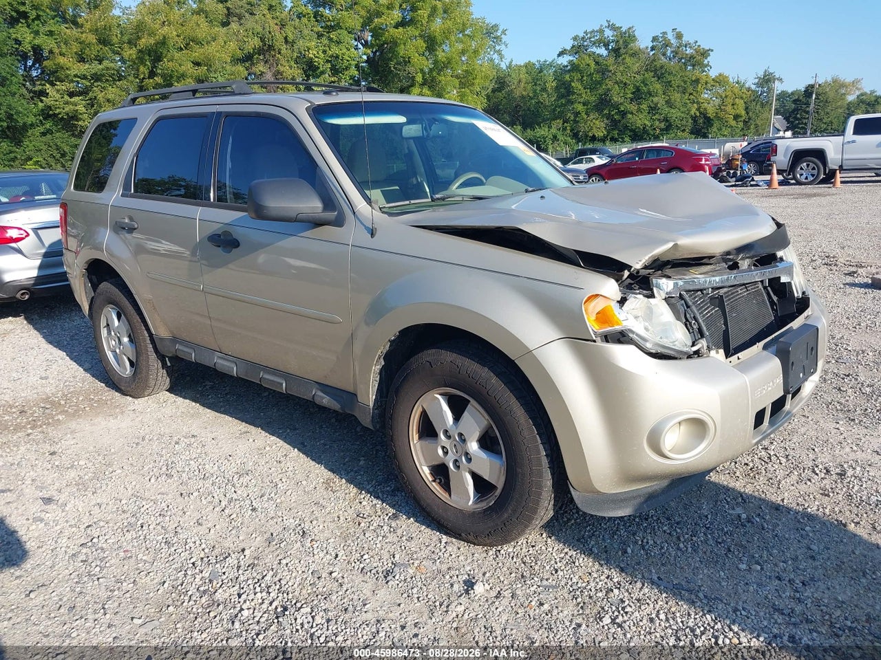 2011 FORD ESCAPE XLT