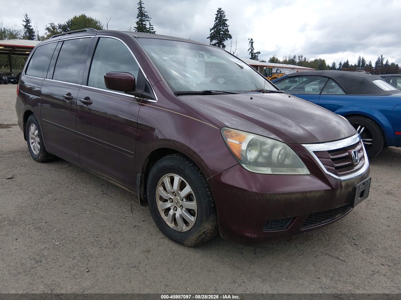2010 HONDA ODYSSEY EX-L