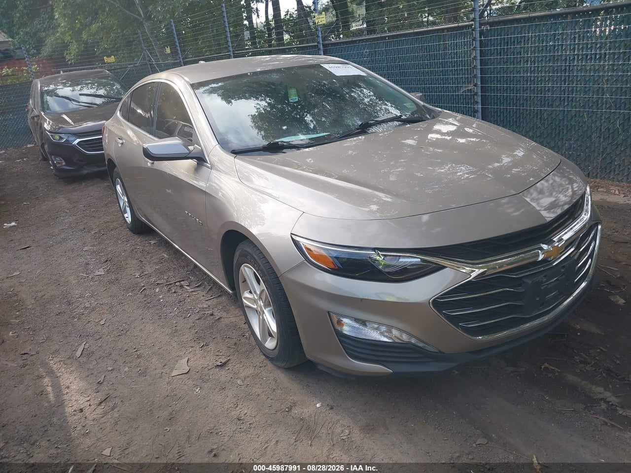 1G1ZD5ST1NF****** · 2022 CHEVROLET MALIBU FWD LT