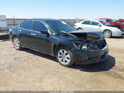 2010 HONDA ACCORD  