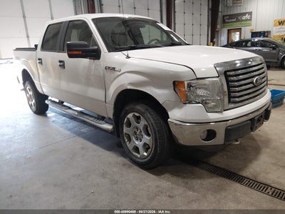 2010 FORD F-150 FX4/HARLEY-DAVIDSON/KING RANCH/LARIAT/PLATINUM/XL/XLT