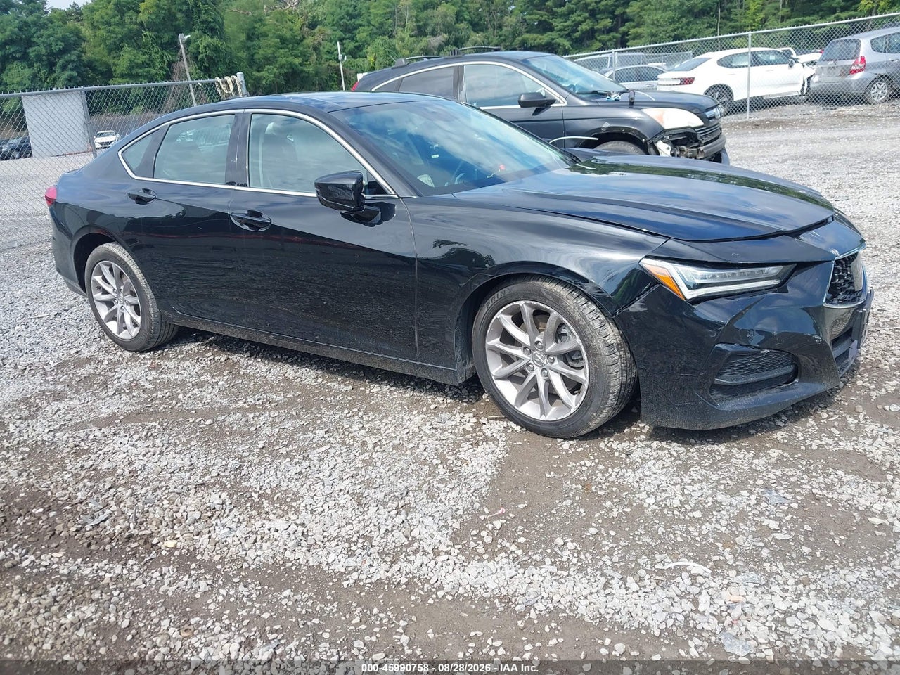 19UUB6F3XMA****** · 2021 ACURA TLX STANDARD
