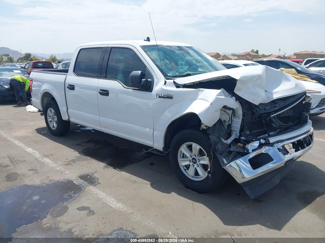 1FTEW1CB3KK****** · 2019 FORD F-150 XLT
