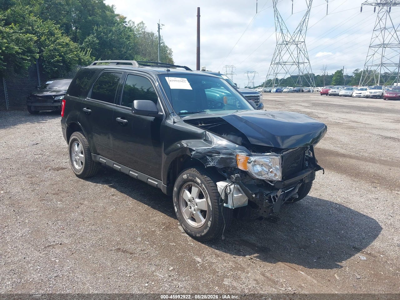 2011 FORD ESCAPE XLT