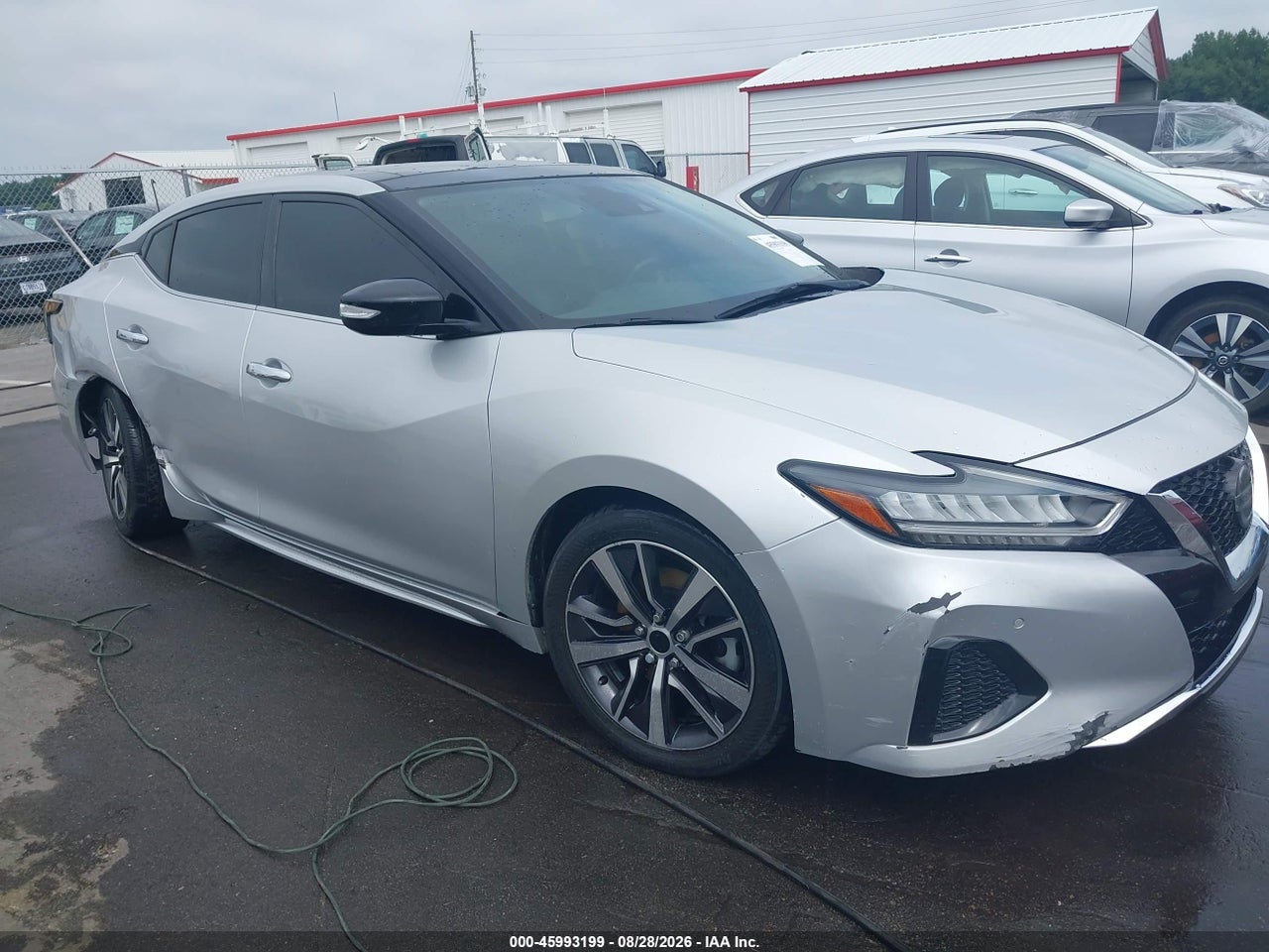 1N4AA6DV7LC****** · 2020 NISSAN MAXIMA SL XTRONIC CVT