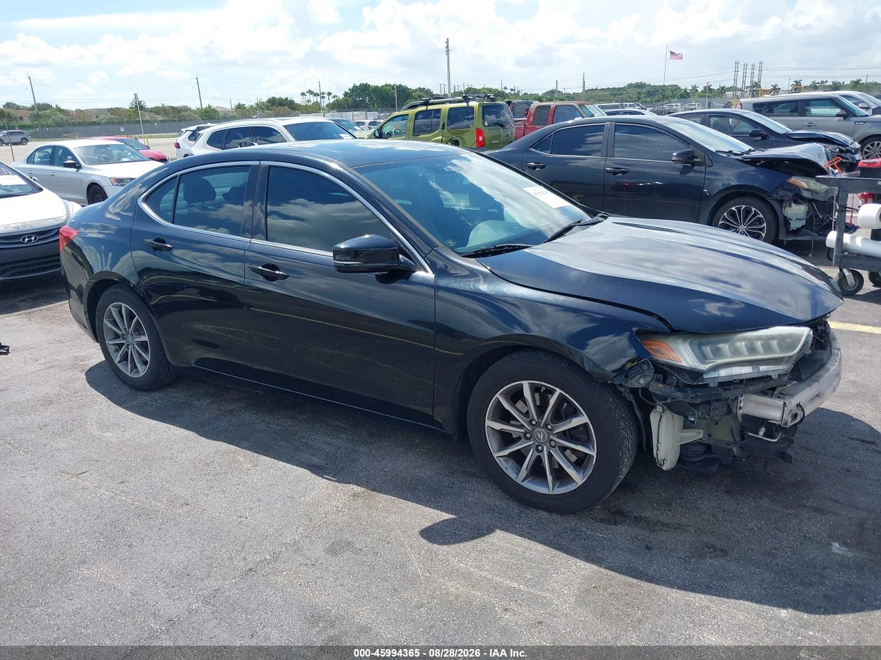 19UUB1F33KA****** · 2019 ACURA TLX STANDARD