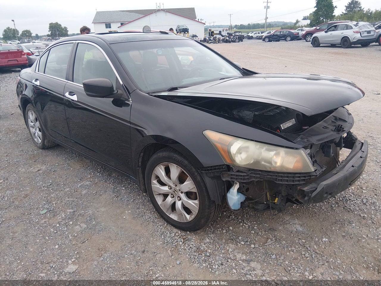 2010 HONDA ACCORD 3.5 EX-L
