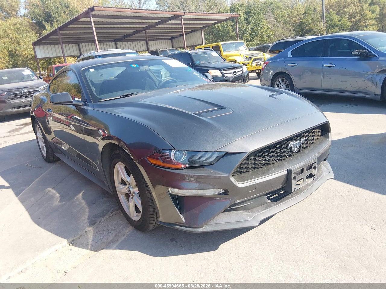 2019 FORD MUSTANG ECOBOOST