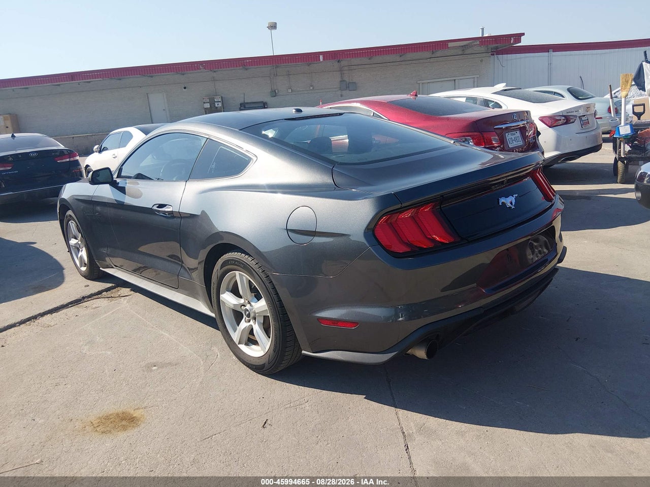 2019 FORD MUSTANG ECOBOOST · 3/11