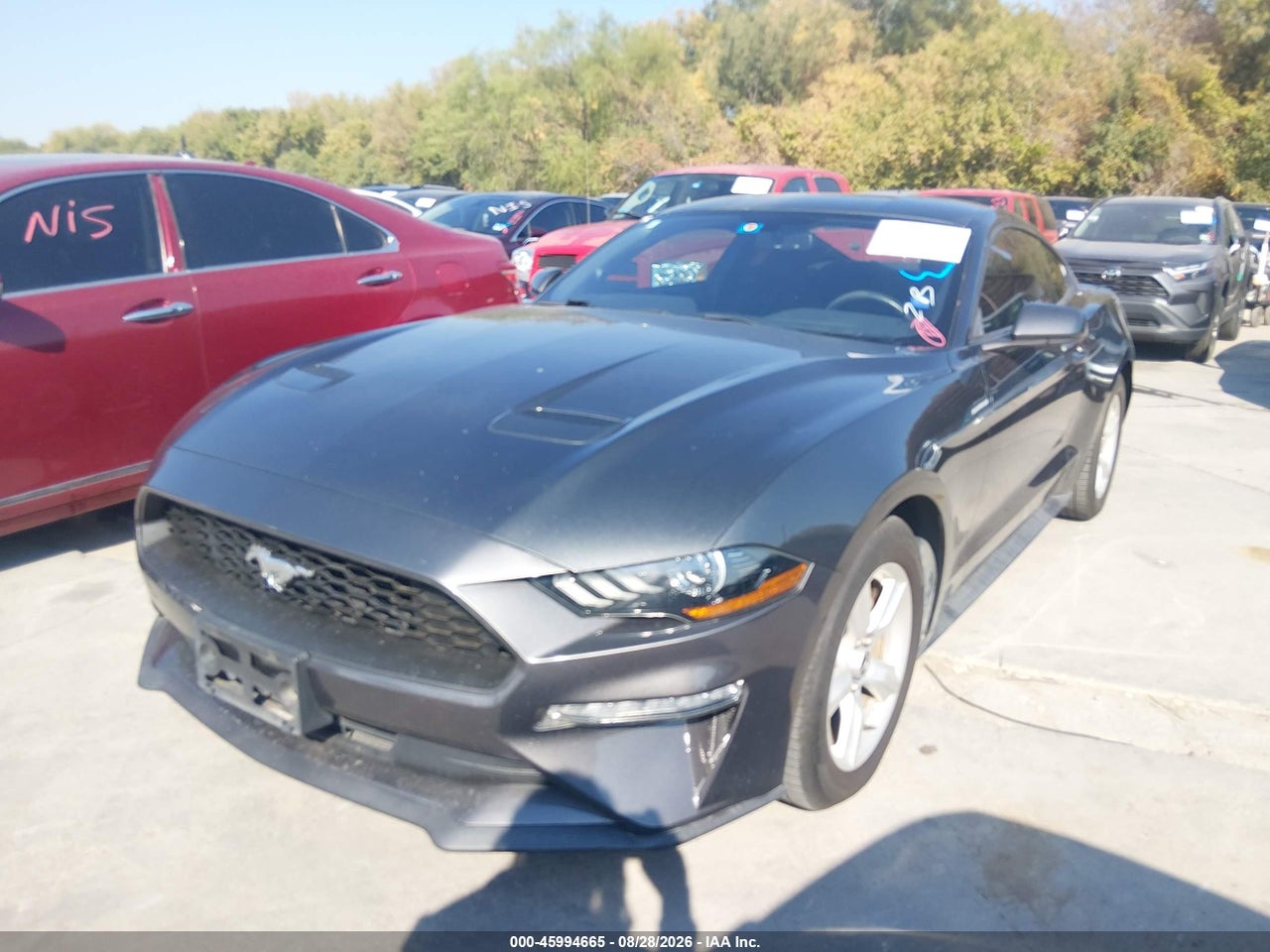 2019 FORD MUSTANG ECOBOOST · 2/11