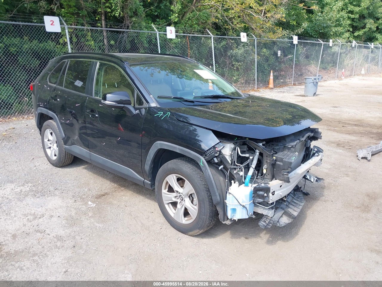 2019 TOYOTA RAV4 XLE