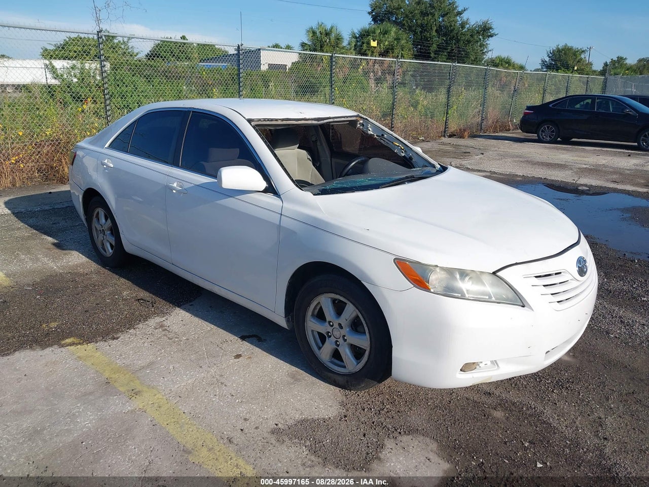 4T1BE46K09U****** · 2009 TOYOTA CAMRY LE