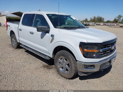 1FTEW3LP5SK****** · 2025 FORD F-150 XLT