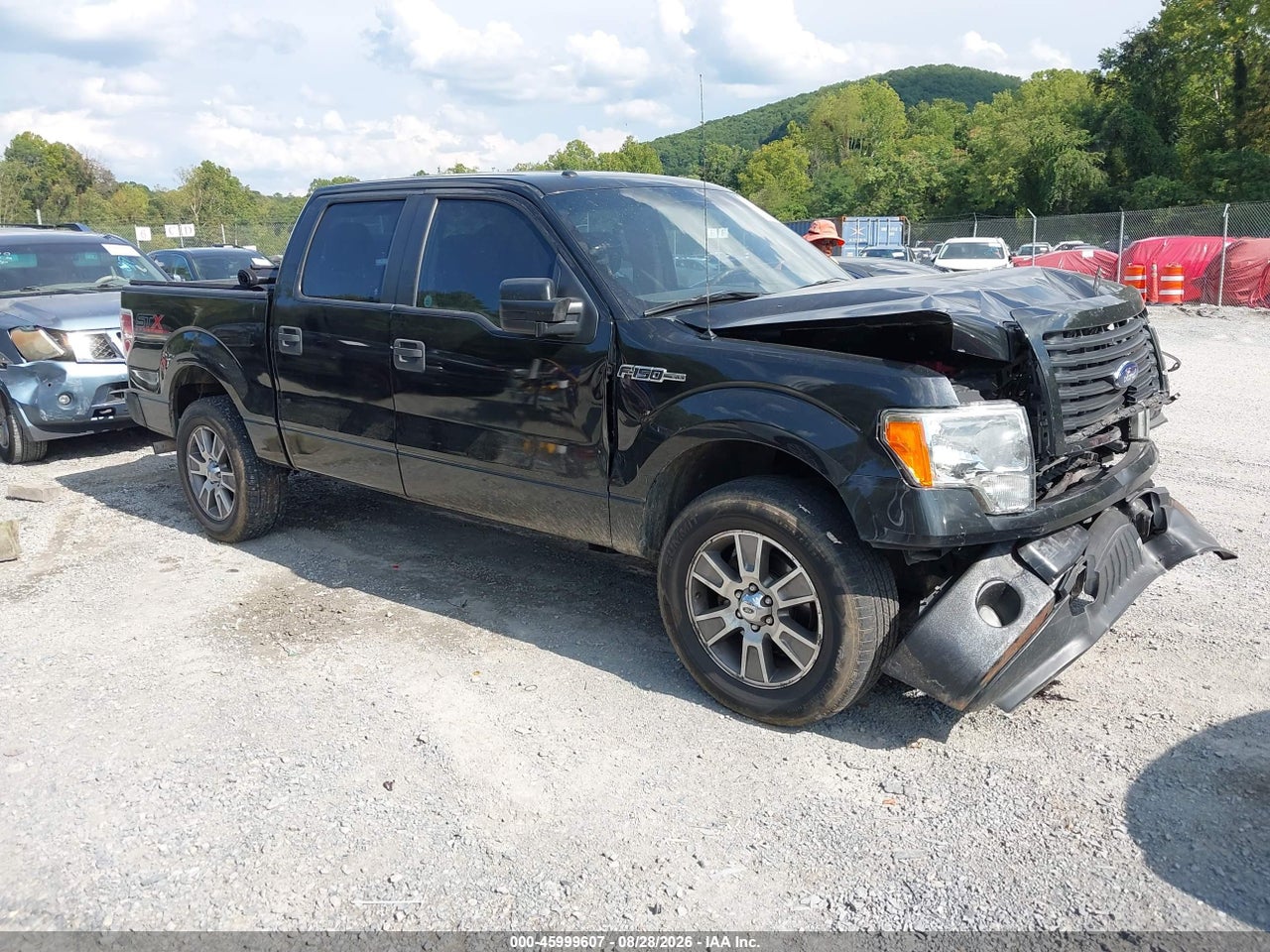 2014 FORD F-150 STX